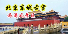 美女乱操色污黄色网站中国北京-东城古宫旅游风景区